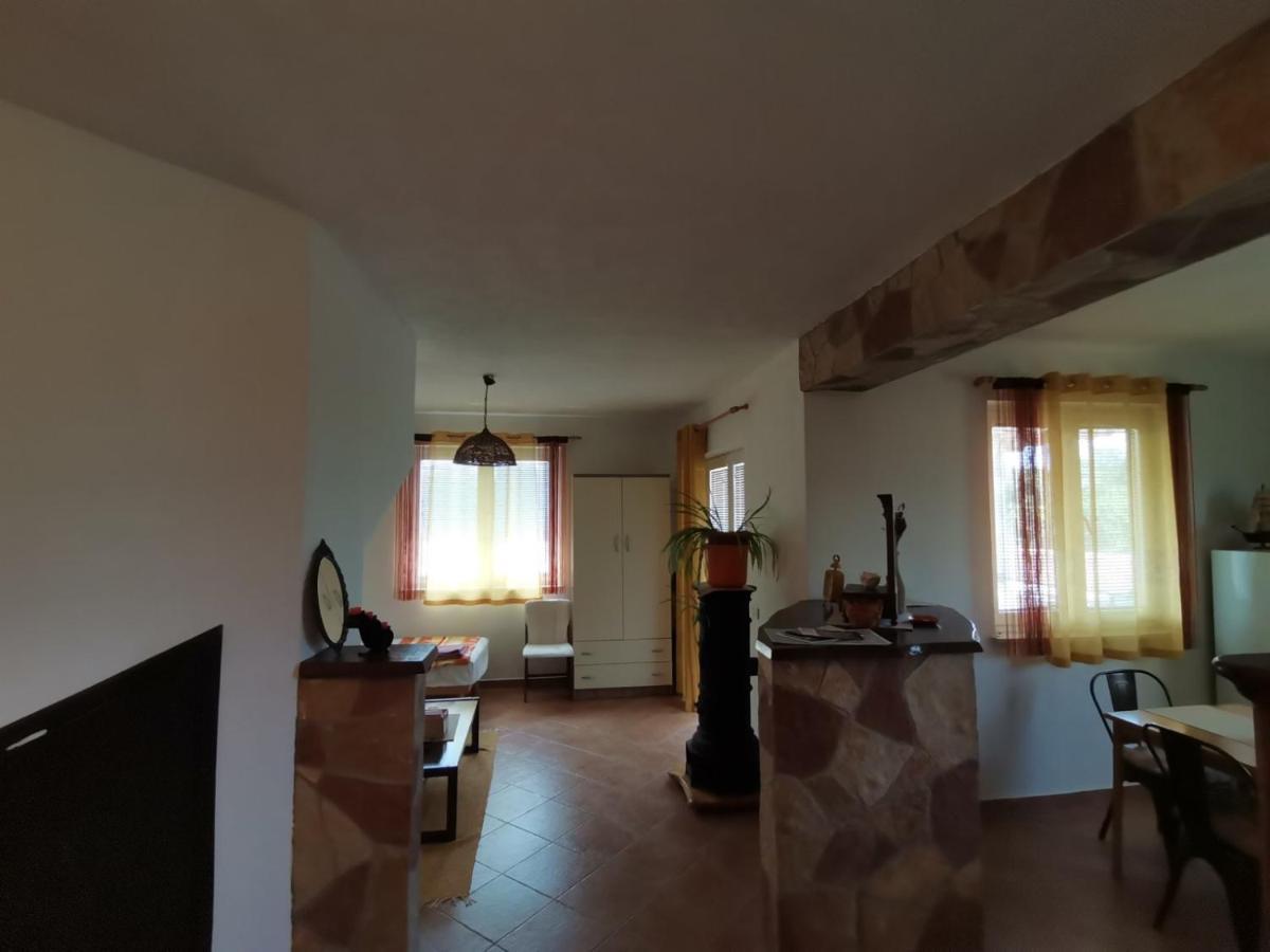 Apartments Vesna Нова-Вас Экстерьер фото