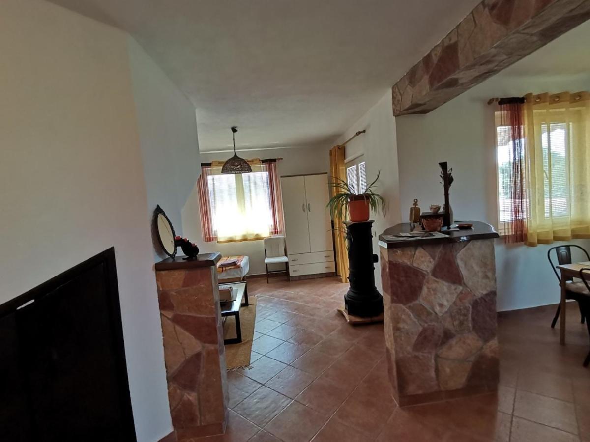 Apartments Vesna Нова-Вас Экстерьер фото